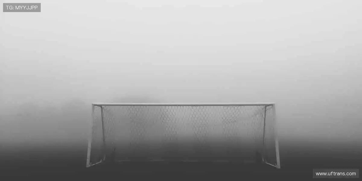 运动灵感触手可及，周边好物等你发现！🎁